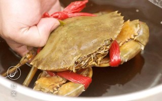 黄油蟹一般几斤,深圳哪里有吃黄油蟹的地方