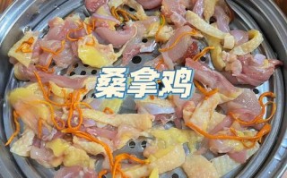 广州桑拿鸡在哪里