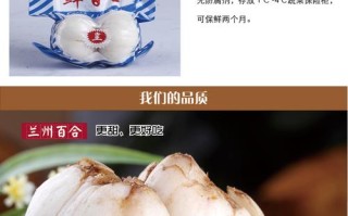 兰州鲜百合哪里买最便宜,新鲜百合食用哪里有卖的啊