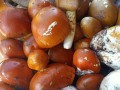 麻朵姑娘在全国怎么样（海子沟哪些蘑菇能吃）