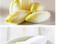 玉兰菜哪里有卖的（玉兰菜哪里有卖的啊）