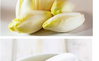 玉兰菜哪里有卖的（玉兰菜哪里有卖的啊）