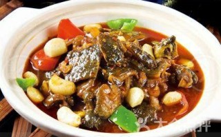 甲鱼仔是哪里的菜（甲鱼仔是什么）