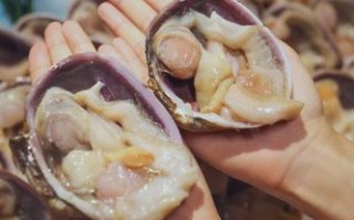 海鲜天鹅蛋哪里不能吃（海鲜天鹅蛋哪里不能吃图片）
