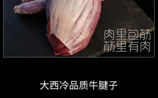 牛腱子是哪里（牛腱是哪里）