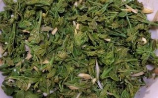 腌渍花椒芽哪里卖（花椒芽怎么腌制最好吃）