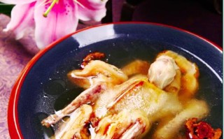 大良 哪里药膳乳鸽（中国其他主要菜肴体系）