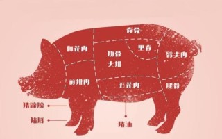 四大名猪哪个好吃,猪哪里肉最好吃 只有一点
