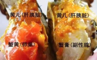 蟹黄是哪里（蟹黄是哪里的特产）