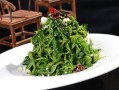 桑叶菜哪里有卖的（桑叶菜的食用方法）