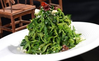 桑叶菜哪里有卖的（桑叶菜的食用方法）