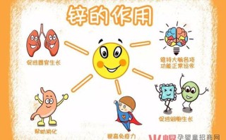 锌主要存在于哪里,哪里有锌片