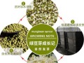 豆芽的各个部位名称,豆芽生长在哪里?