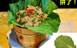 东北大饭包的菜叶子哪里卖,饭包的白菜哪里卖的