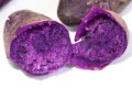 紫薯哪里的最好（哪里的紫薯好）