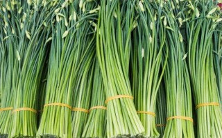 韭菜苔哪里有卖的（韭菜苔怎么挑选）