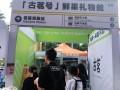 开在大学城的奶茶店怎么样（大学城附近做什么生意好）