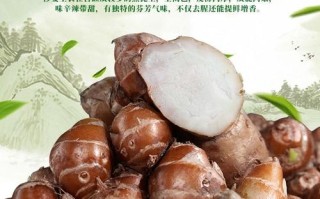 沙姜是哪里的特产,沙姜哪里的好吃啊