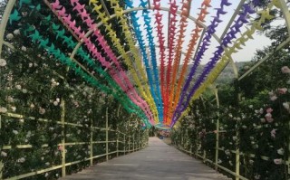 果漫四季怎么样（漫花庄园11月去合适么）