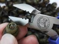 花螺剪尾巴是剪哪里（花螺剪尾巴是剪哪里的）