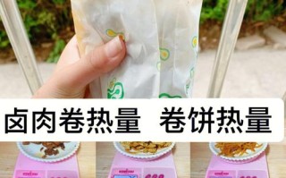 卤肉卷面皮哪里有（一个素卤肉卷的热量）