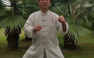 赵堡太极拳的名家大师,大脸鸡排官网电话