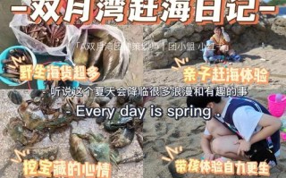 深圳哪里有海鲜街（深圳哪里可以赶海抓海鲜）