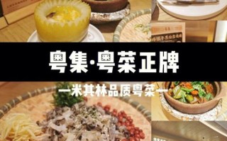 深圳哪里粤菜好吃（深圳哪里粤菜好吃又便宜）