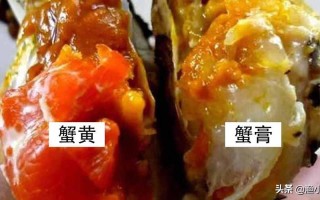 螃蟹蟹黄在哪里（河蟹什么时候有蟹黄）
