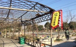 烧烤部落怎么样（烧烤部落怎么样）
