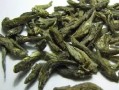 不象茶怎么样（与虫子相似的茶叶还挺便宜的叫什么茶来）