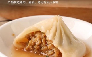 猪肉灌汤包哪里好吃（猪肉灌汤包哪里好吃啊）