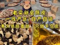 陈皮应该选择什么样市场,陈皮选用哪里的好