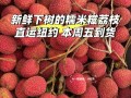 哪里有卖糯米糍（哪里有卖糯米糍荔枝）