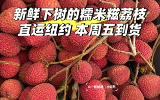 哪里有卖糯米糍（哪里有卖糯米糍荔枝）
