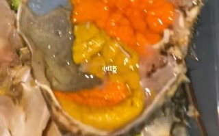 蚶江赶海最佳地点,潮州哪里吃海鲜又便宜又好吃