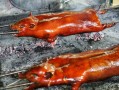 烤猪哪里好吃（烤猪哪里好吃啊）