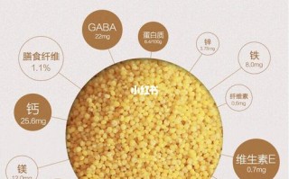 哪里小米好吃又营养（全国最好吃的小米排行）