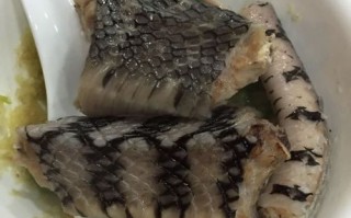 哪里做蛇好吃（岳阳市市内那个馆子的蛇好吃）