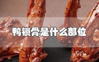 鸭锁骨是鸭子的哪个部位,鸭锁骨是哪里的肉
