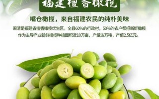 什么牌子橄榄最正宗,哪里的橄榄好吃又甜
