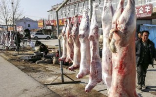 广州最大批发羊肉市场,广州哪里有羊肉卖的