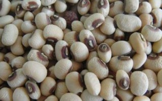 六豆在哪里（六豆是什么意思）