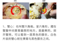 螃蟹的腮在哪里（螃蟹的腮在哪里图片）