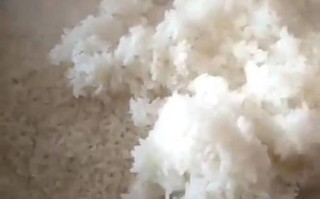 为什么山东人吃米饭,山东做米饭生意怎么样啊