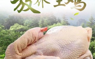 哪里的鸡出名且好吃,哪里的草鸡好吃又便宜