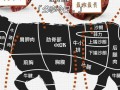 牛排是哪个部位的肉,牛排肉是哪里的肉啊