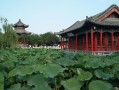 半城山色火锅怎么样（“四面荷花三面柳，一城山色半城湖”是什么意思）