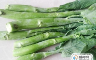 东芥是芥兰吗,水东芥是哪里的特产