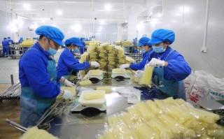 米粉厂利润怎么样（开个米粉加工厂有利润吗）